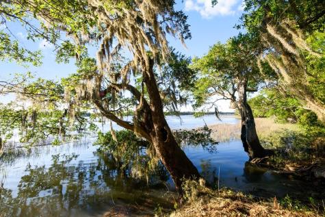 3566 Bohicket Estates Drive Johns Island SC 29455