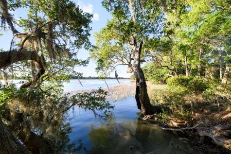 3566 Bohicket Estates Drive Johns Island SC 29455