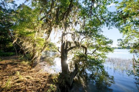 3566 Bohicket Estates Drive Johns Island SC 29455