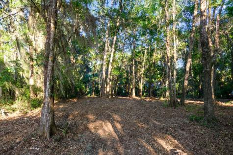 3566 Bohicket Estates Drive Johns Island SC 29455