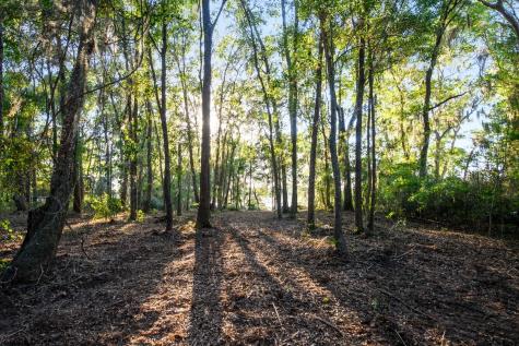 3566 Bohicket Estates Drive Johns Island SC 29455