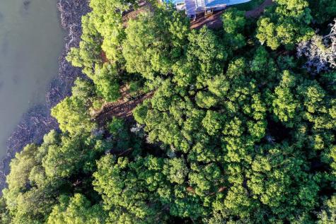 3566 Bohicket Estates Drive Johns Island SC 29455