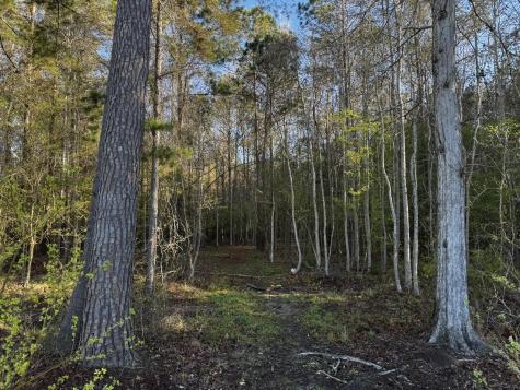 0 Beech Hill Road Summerville SC 29485