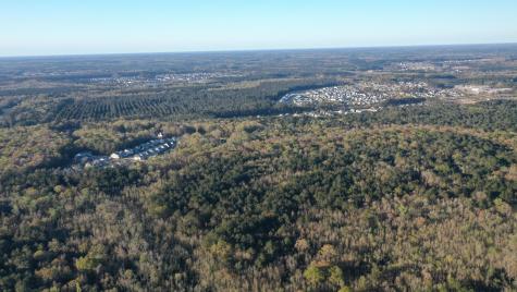 0 Beech Hill Road Summerville SC 29485