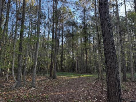 0 Beech Hill Road Summerville SC 29485