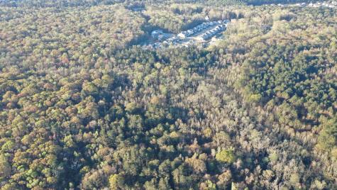 0 Beech Hill Road Summerville SC 29485