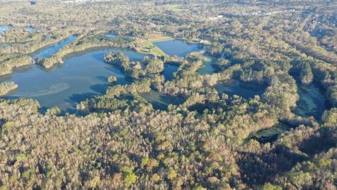 0 Beech Hill Road Summerville SC 29485