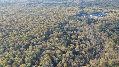 0 Beech Hill Road Summerville SC 29485