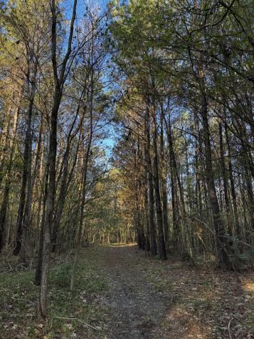 0 Beech Hill Road Summerville SC 29485