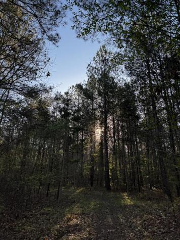 0 Beech Hill Road Summerville SC 29485