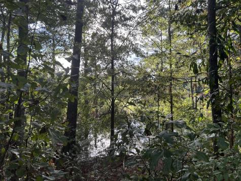 123 Kyseth Lane Moncks Corner SC 29461