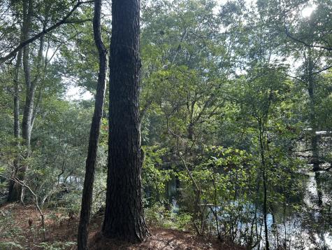 123 Kyseth Lane Moncks Corner SC 29461