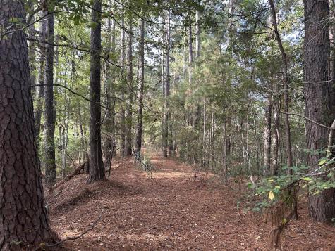 123 Kyseth Lane Moncks Corner SC 29461