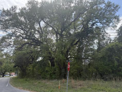 0 Old Back River Road Goose Creek SC 29445