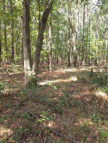 1128 Choice Road Johns Island SC 29455