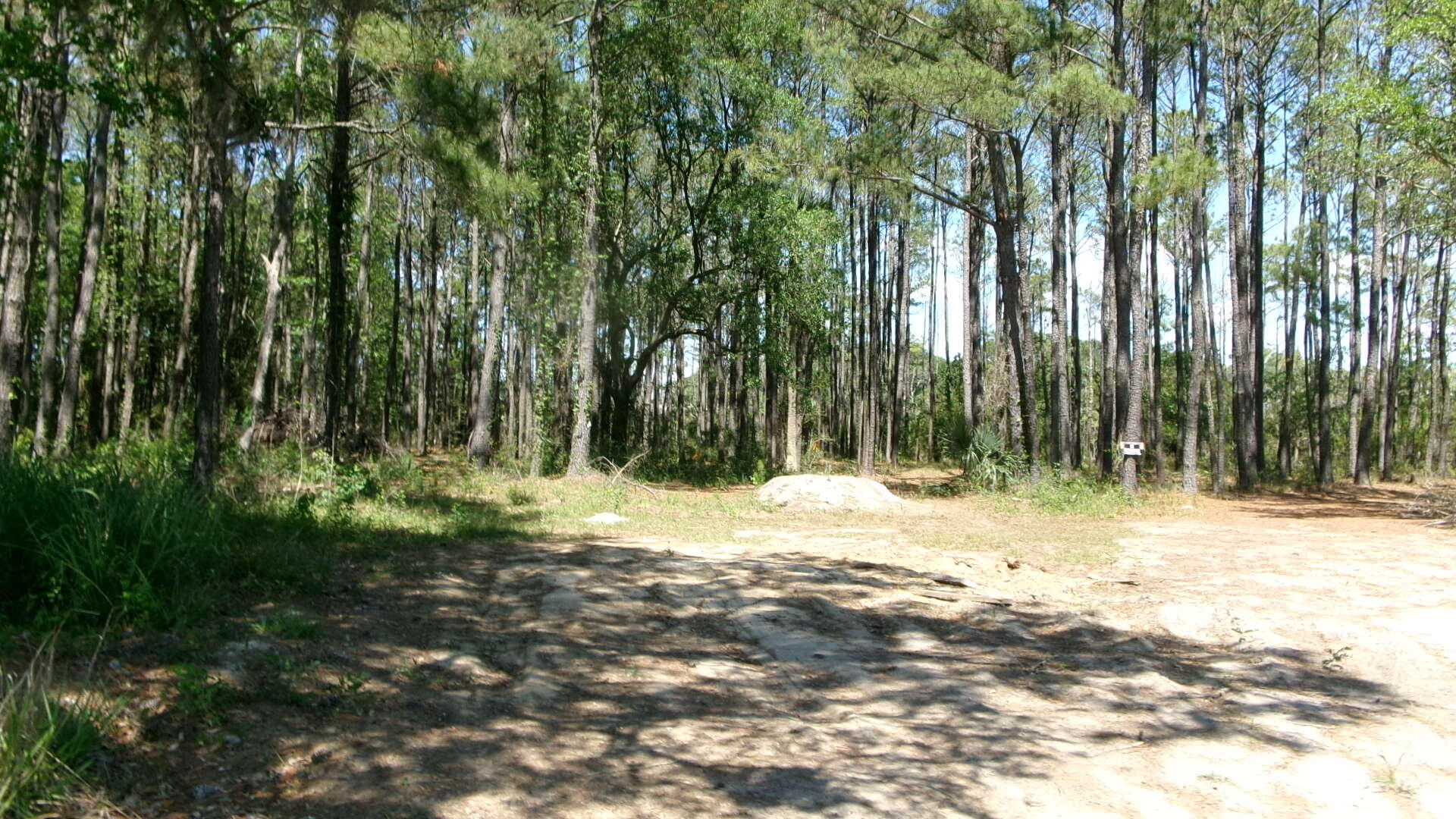 1108 Saint Thomas Island Drive Wando SC 29492