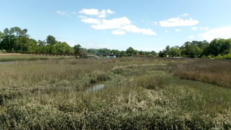 1108 Saint Thomas Island Drive Wando SC 29492