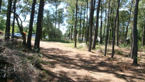 1108 Saint Thomas Island Drive Wando SC 29492
