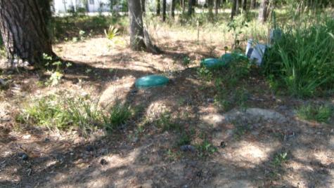 1108 Saint Thomas Island Drive Wando SC 29492