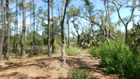 1108 Saint Thomas Island Drive Wando SC 29492
