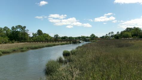 1108 Saint Thomas Island Drive Wando SC 29492