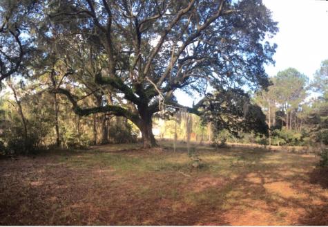 2907 River Road Johns Island SC 29455