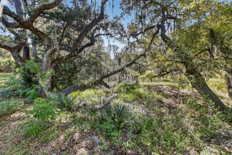 2907 River Road Johns Island SC 29455