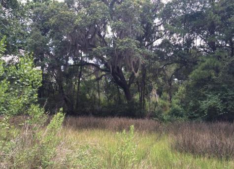 2907 River Road Johns Island SC 29455