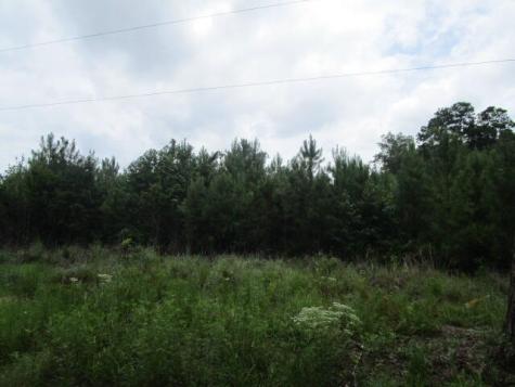 7905 Morris Bing Road Hollywood SC 29449