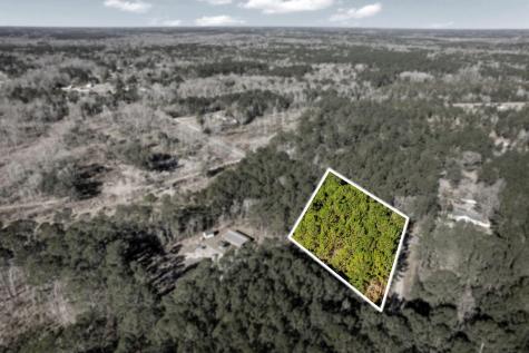 0 Yaremich Drive Moncks Corner SC 29461