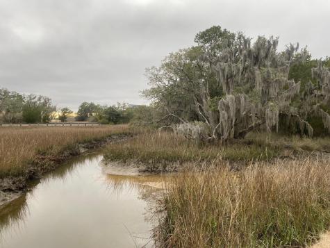 6079 Josie Ridge Road Wadmalaw Island SC 29487