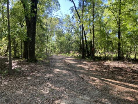 6079 Josie Ridge Road Wadmalaw Island SC 29487