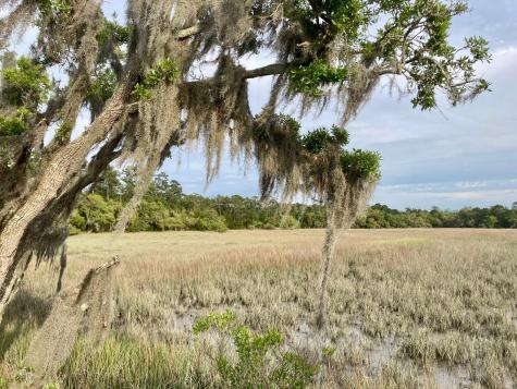 6079 Josie Ridge Road Wadmalaw Island SC 29487