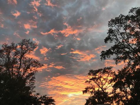 6079 Josie Ridge Road Wadmalaw Island SC 29487