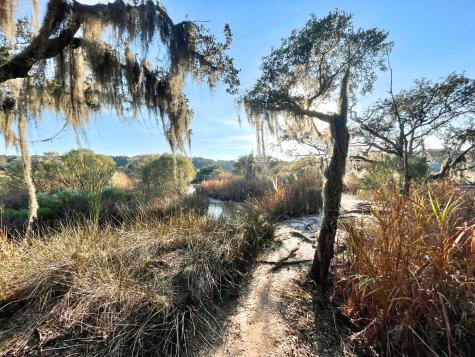 6079 Josie Ridge Road Wadmalaw Island SC 29487