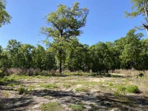 6079 Josie Ridge Road Wadmalaw Island SC 29487