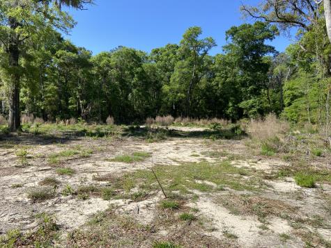 6079 Josie Ridge Road Wadmalaw Island SC 29487