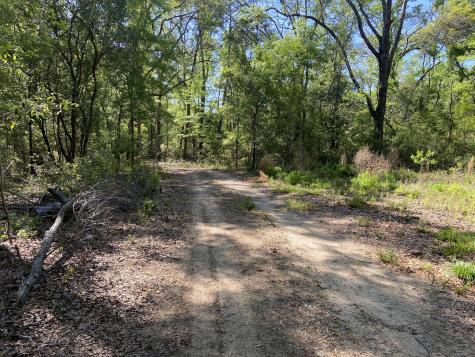 6079 Josie Ridge Road Wadmalaw Island SC 29487