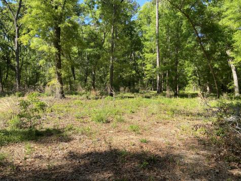 6079 Josie Ridge Road Wadmalaw Island SC 29487