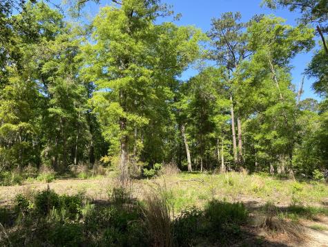 6079 Josie Ridge Road Wadmalaw Island SC 29487