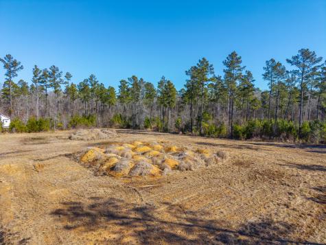 V/l Calamus Pond Road Summerville SC 29486