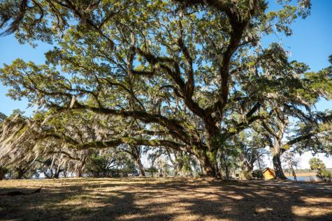6 Mauricena Road Georgetown SC 29440