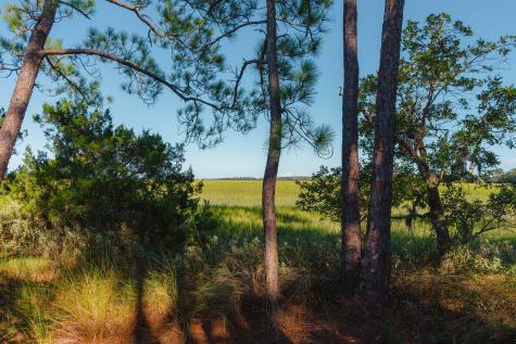 0 Stono River Drive Charleston SC 29412