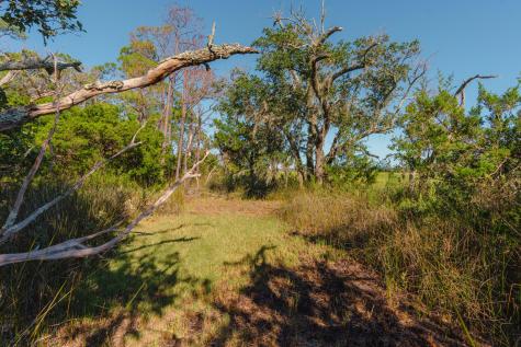 0 Stono River Drive Charleston SC 29412