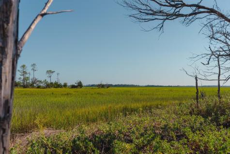 0 Stono River Drive Charleston SC 29412