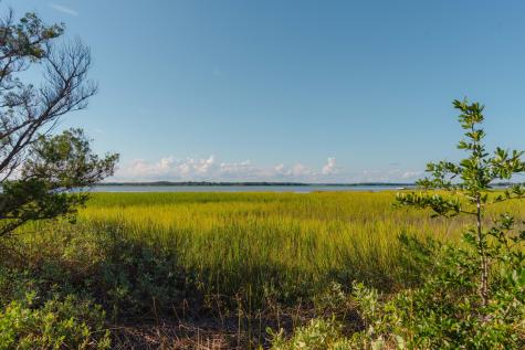 0 Stono River Drive Charleston SC 29412