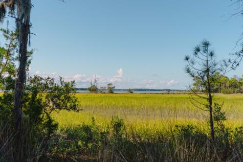 0 Stono River Drive Charleston SC 29412