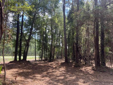 11473 S Fraser Street Georgetown SC 29440
