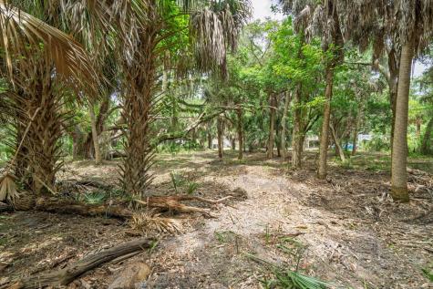 3322 Myrtle Street Edisto Island SC 29438