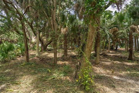 3322 Myrtle Street Edisto Island SC 29438
